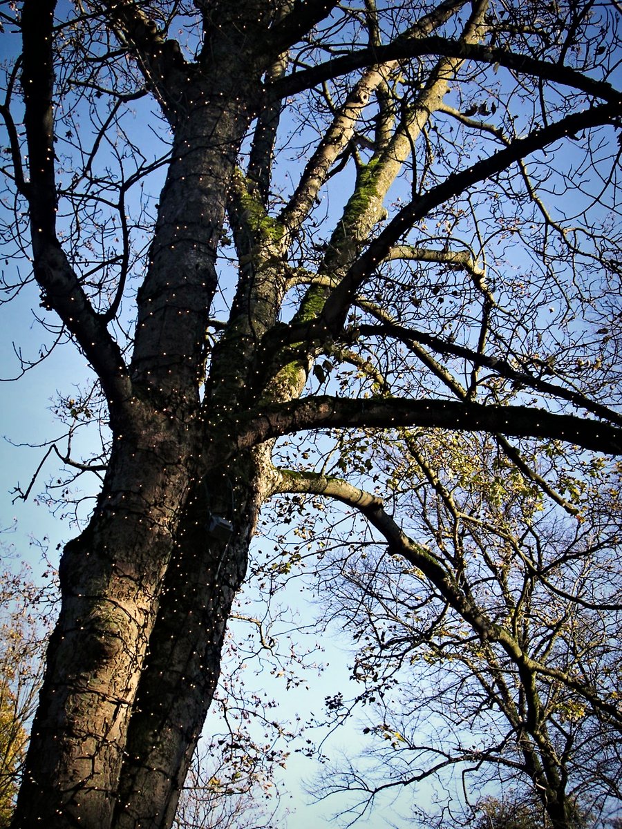 Prins Bernhardplantsoen – Hengelo, the Netherlands