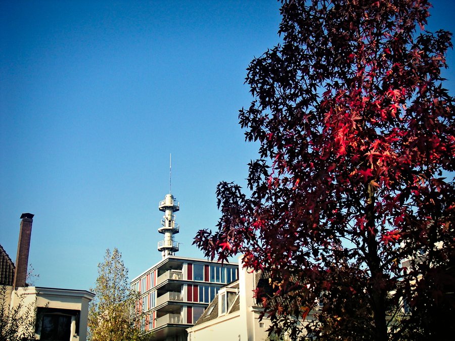 Prins Bernhardplantsoen – Hengelo, the Netherlands