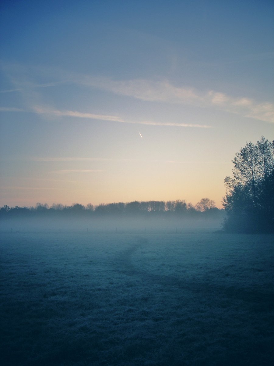 Banks of fog
