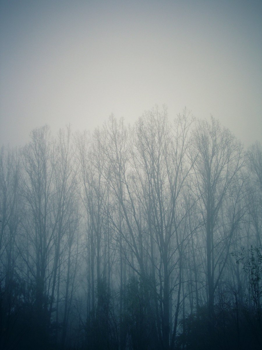Mist again – Hengelo, the Netherlands