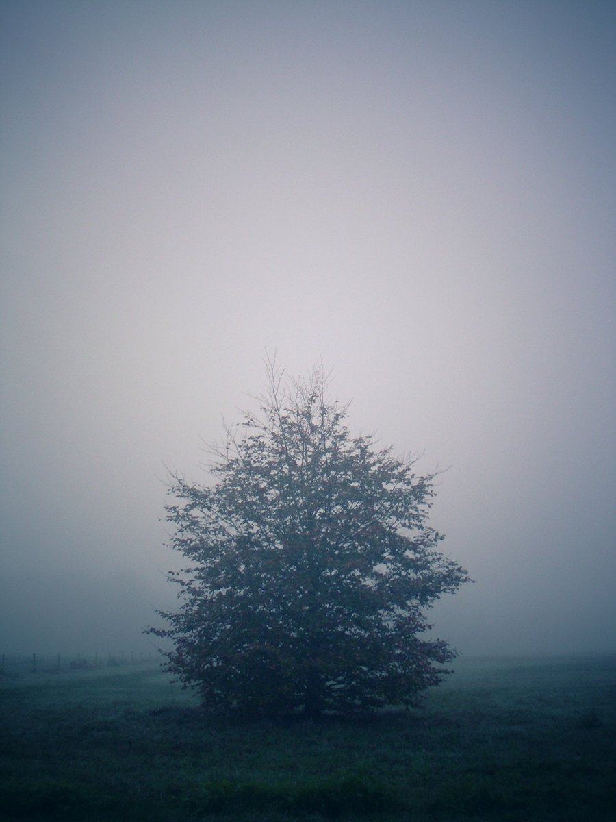 Mist again – Hengelo, the Netherlands