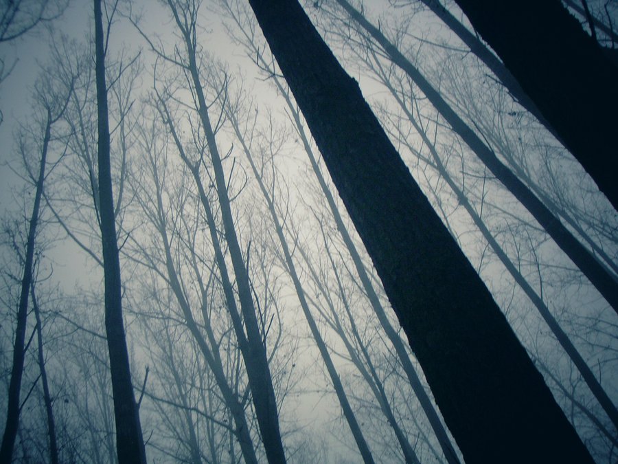 Mist again – Hengelo, the Netherlands
