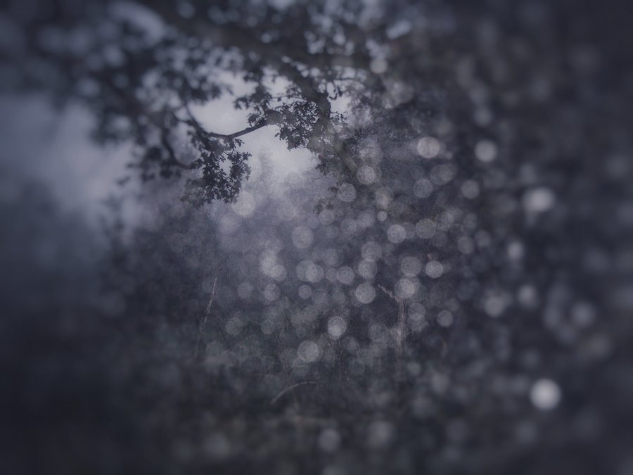 Mist again – Hengelo, the Netherlands