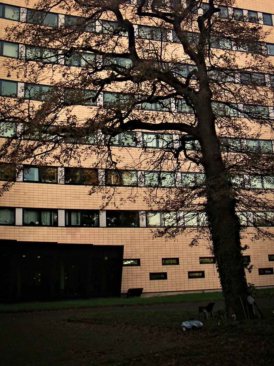 Formal municipal building – Hengelo, the Netherlands
