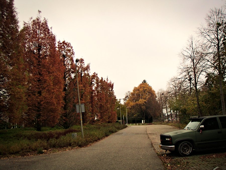 Autumn cars – Hengelo, the Netherlands