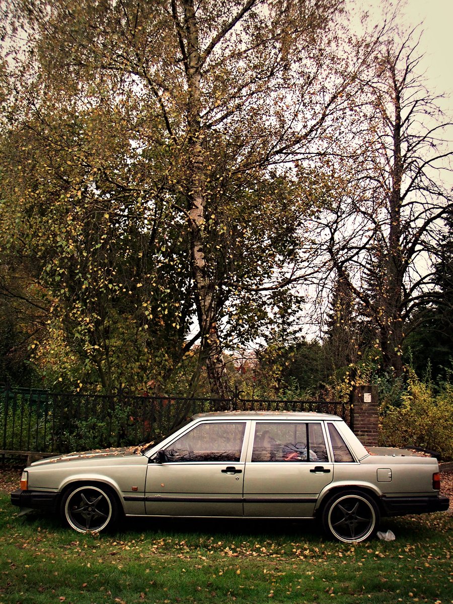 Autumn cars – Hengelo, the Netherlands