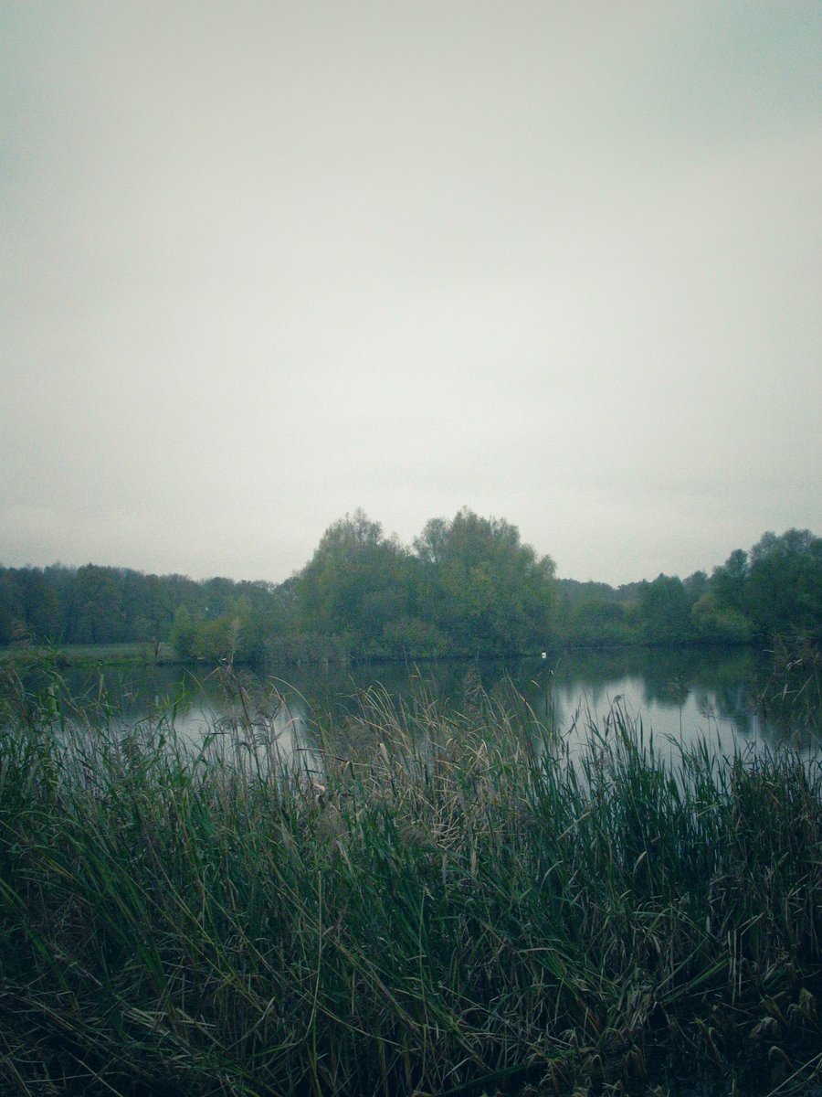 Woolde nature reserve – Hengelo, the Netherlands