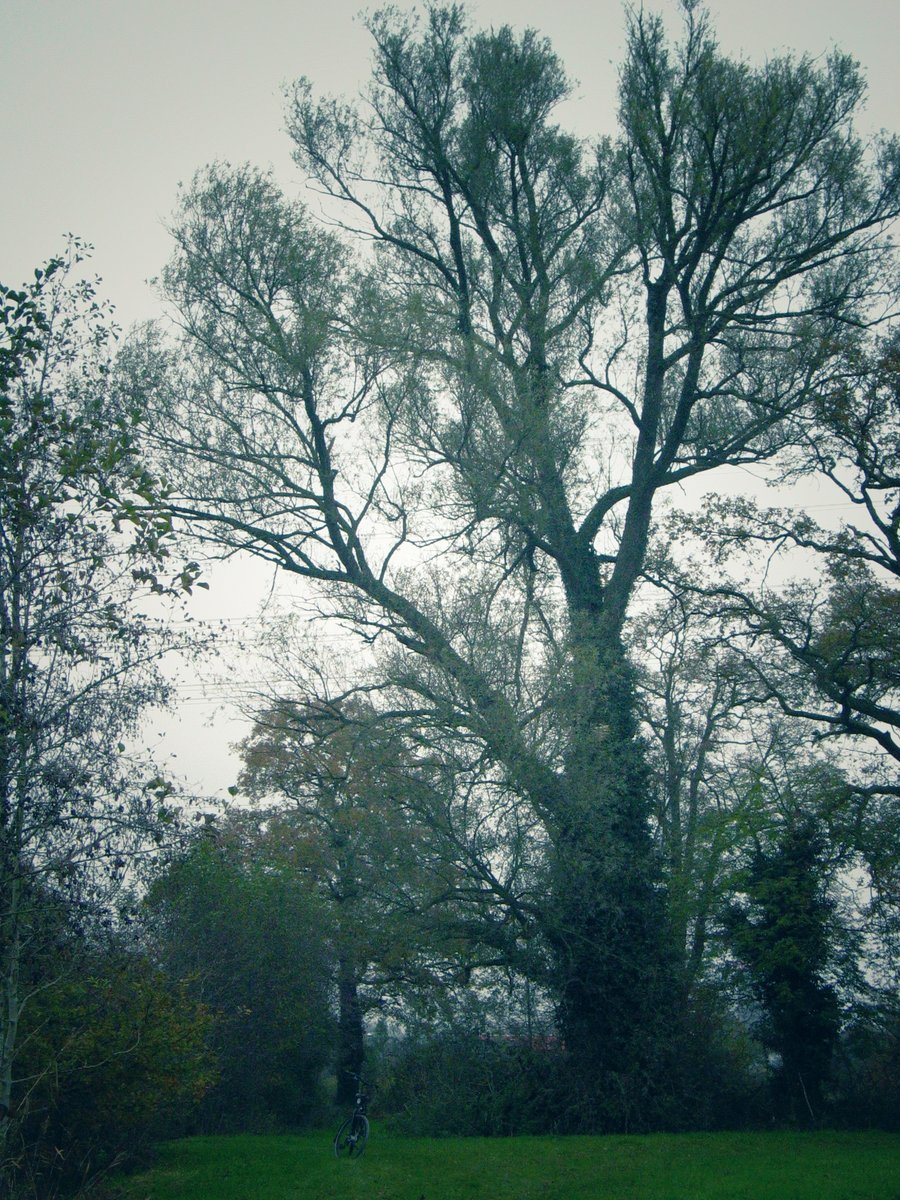 Woolde nature reserve – Hengelo, the Netherlands