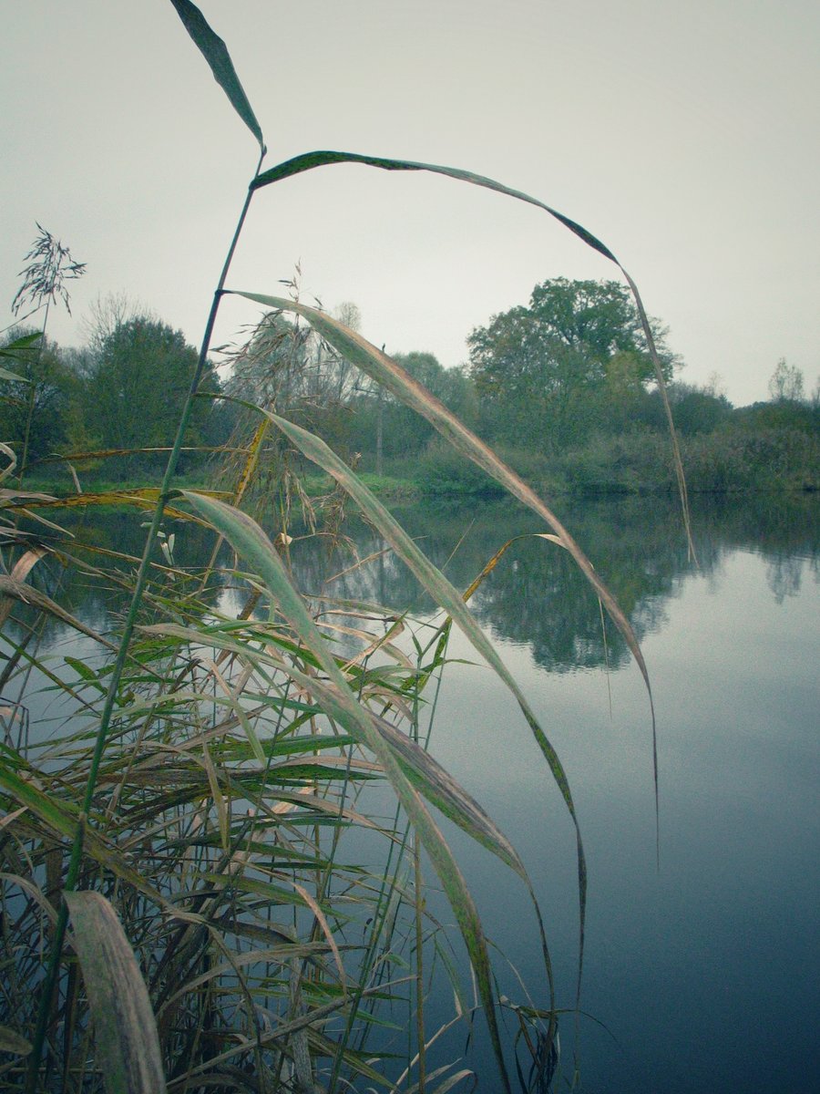 Woolde nature reserve – Hengelo, the Netherlands
