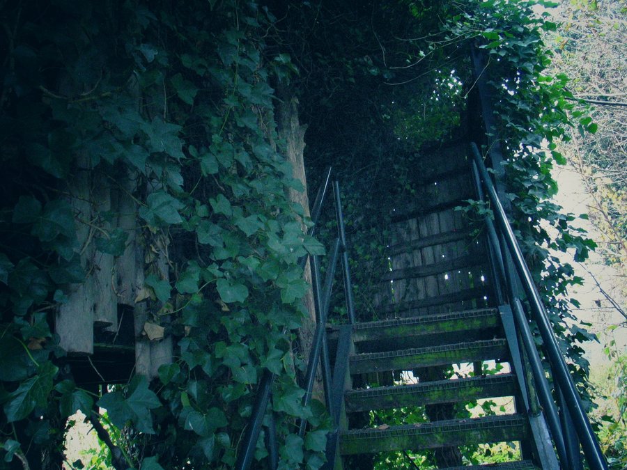 Woolde nature reserve – Hengelo, the Netherlands