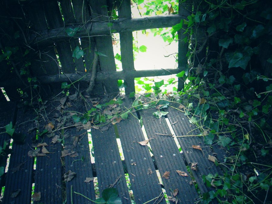 Woolde nature reserve – Hengelo, the Netherlands