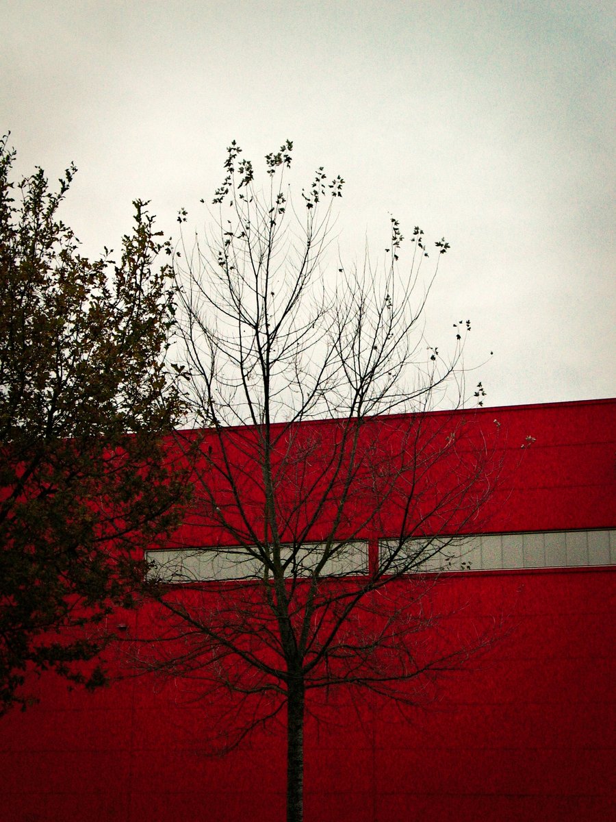Bauhaus – Hengelo, the Netherlands