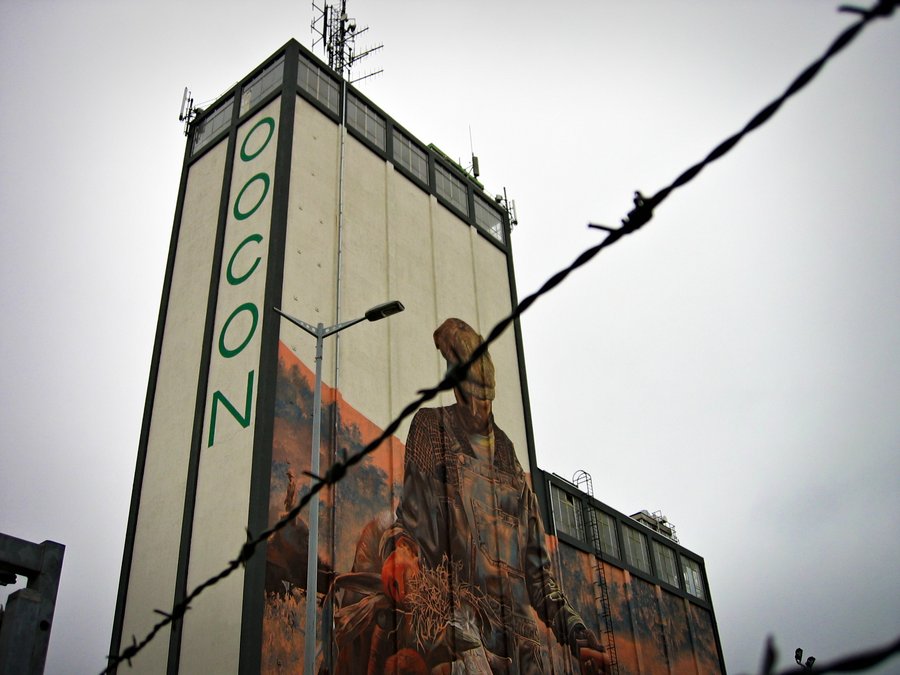 Muurschildering silo – Goorseweg Lochem, the Netherlands