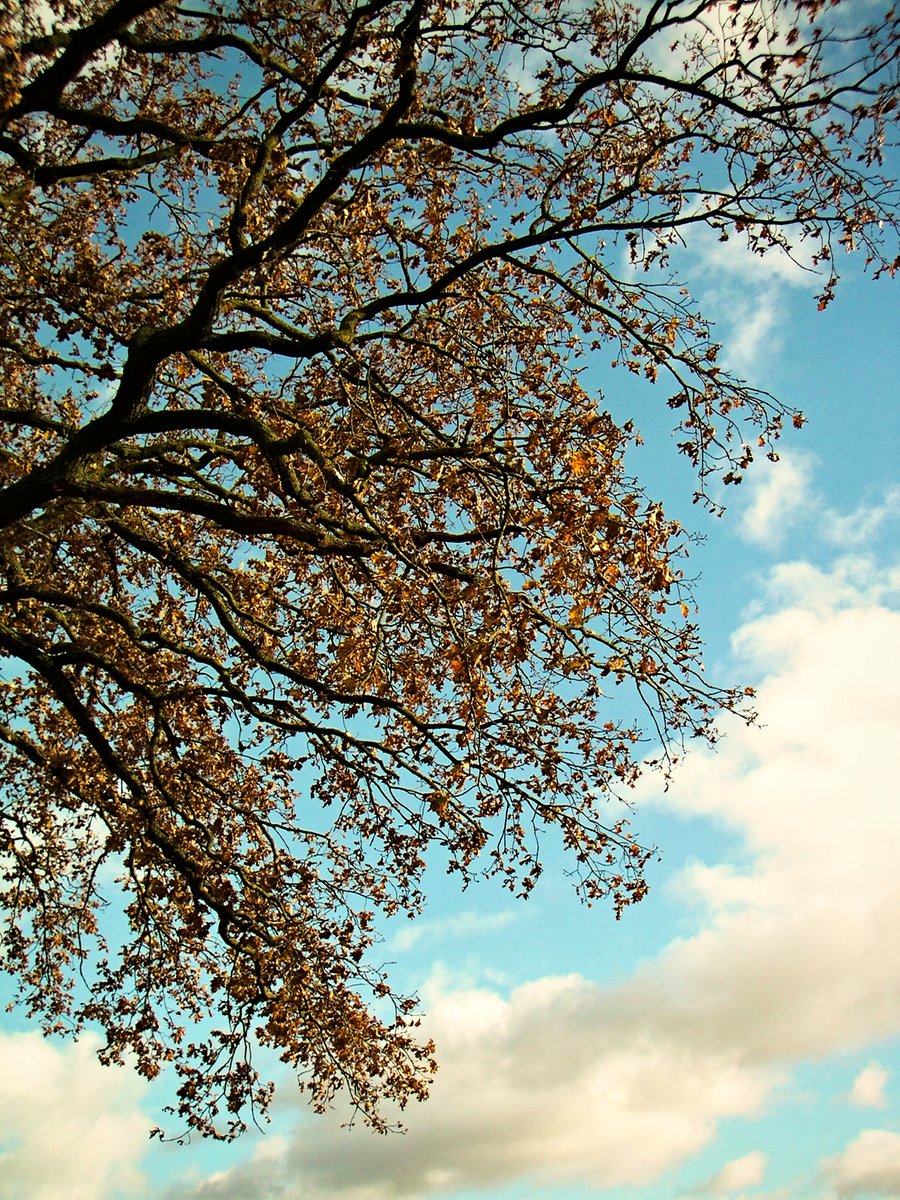 Hulsbeek – Oldenzaal, the Netherlands