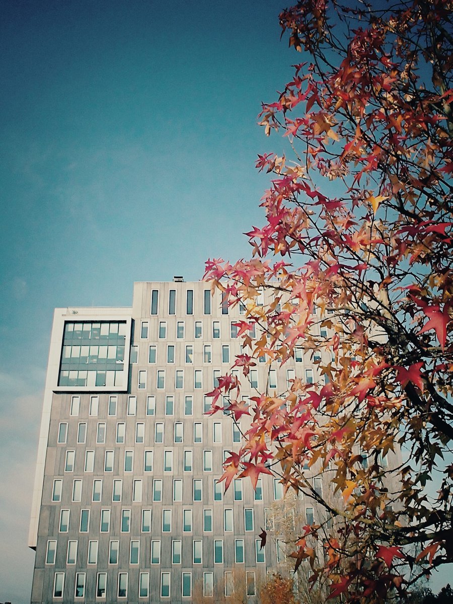 Expo Business premise revisited – Hengelo, the Nethlands