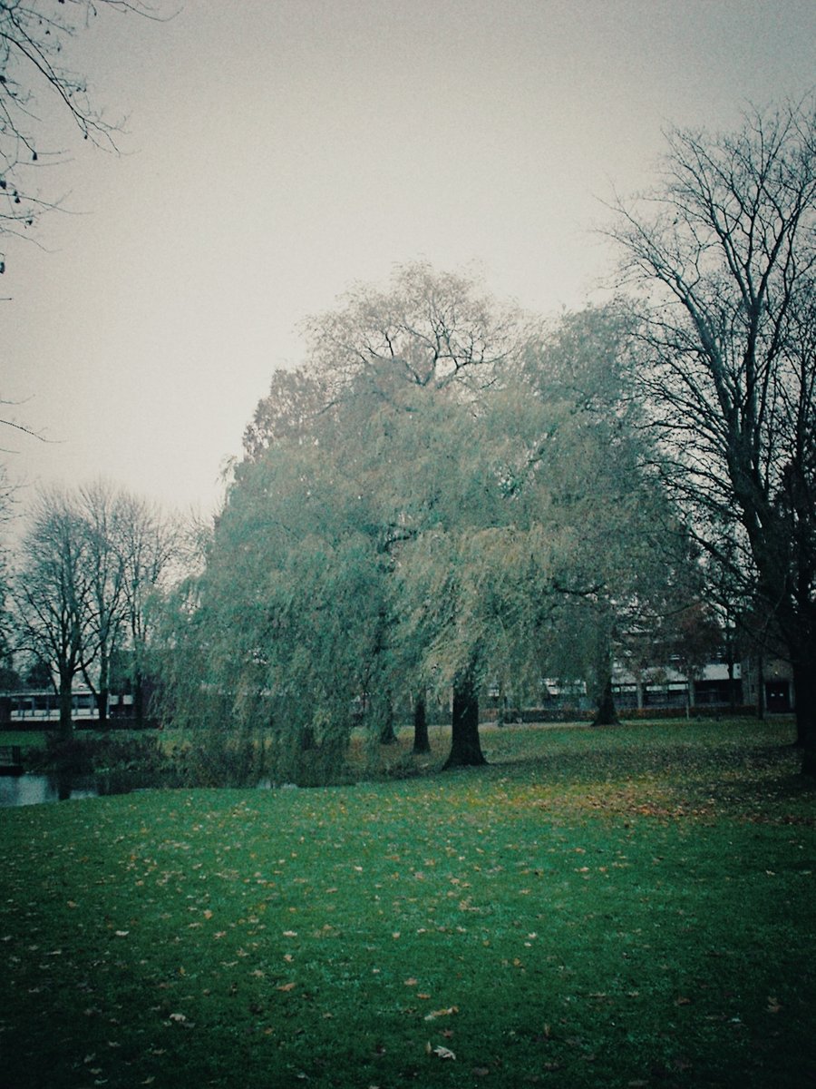 Tichelpark – Hengelo, the Netherlands