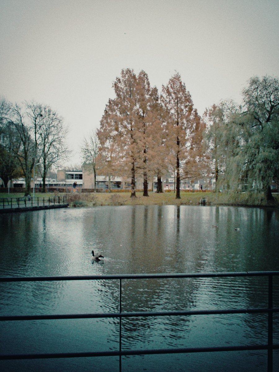 Tichelpark – Hengelo, the Netherlands