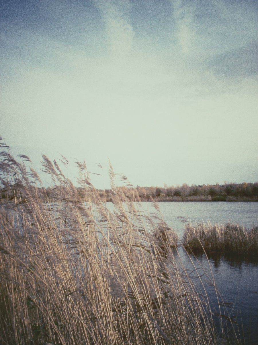 Retentiegebied Kristalbad- Hengelo, the Netherlands
