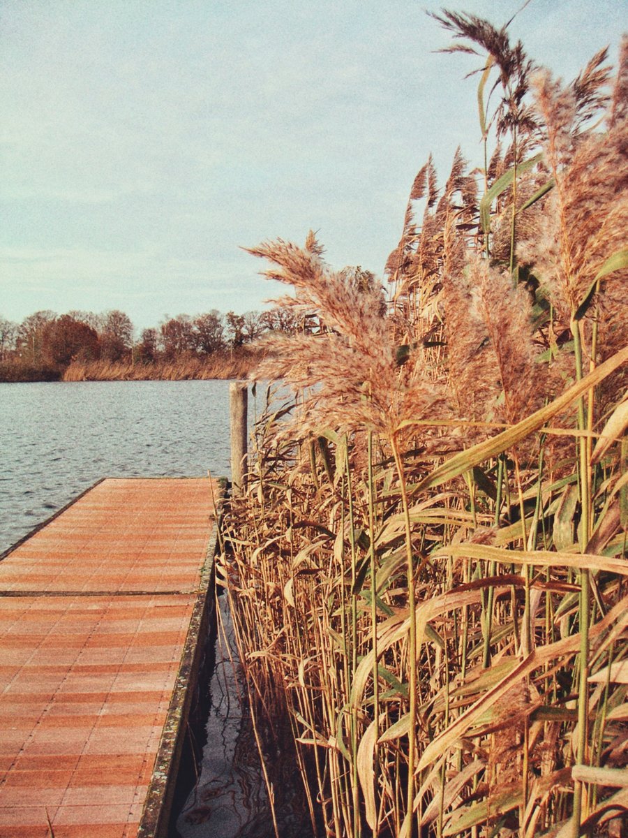 Retentiegebied Kristalbad, deel 2 – Hengelo, the Netherlands