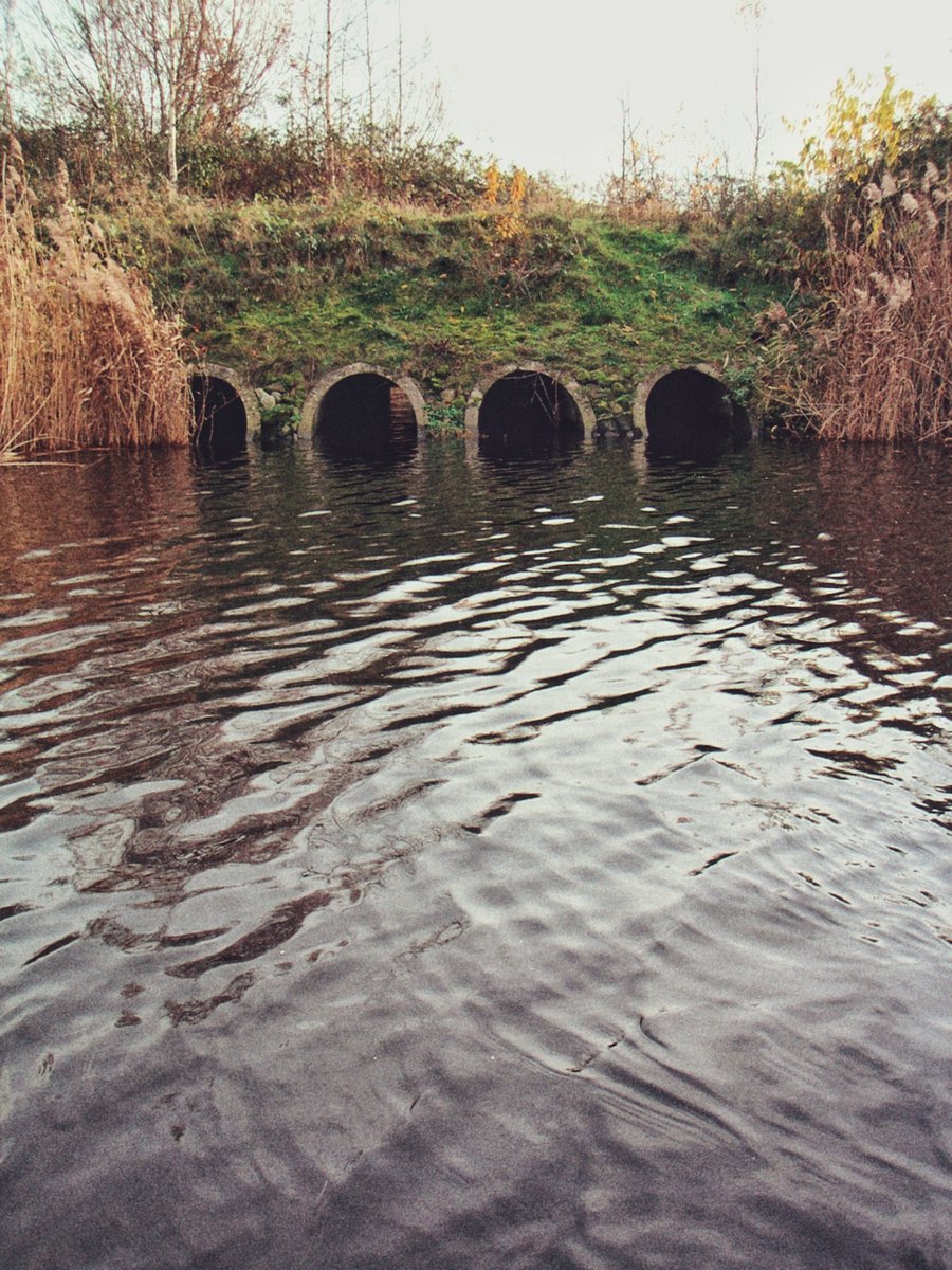 Retentiegebied Kristalbad, deel 2 – Hengelo, the Netherlands