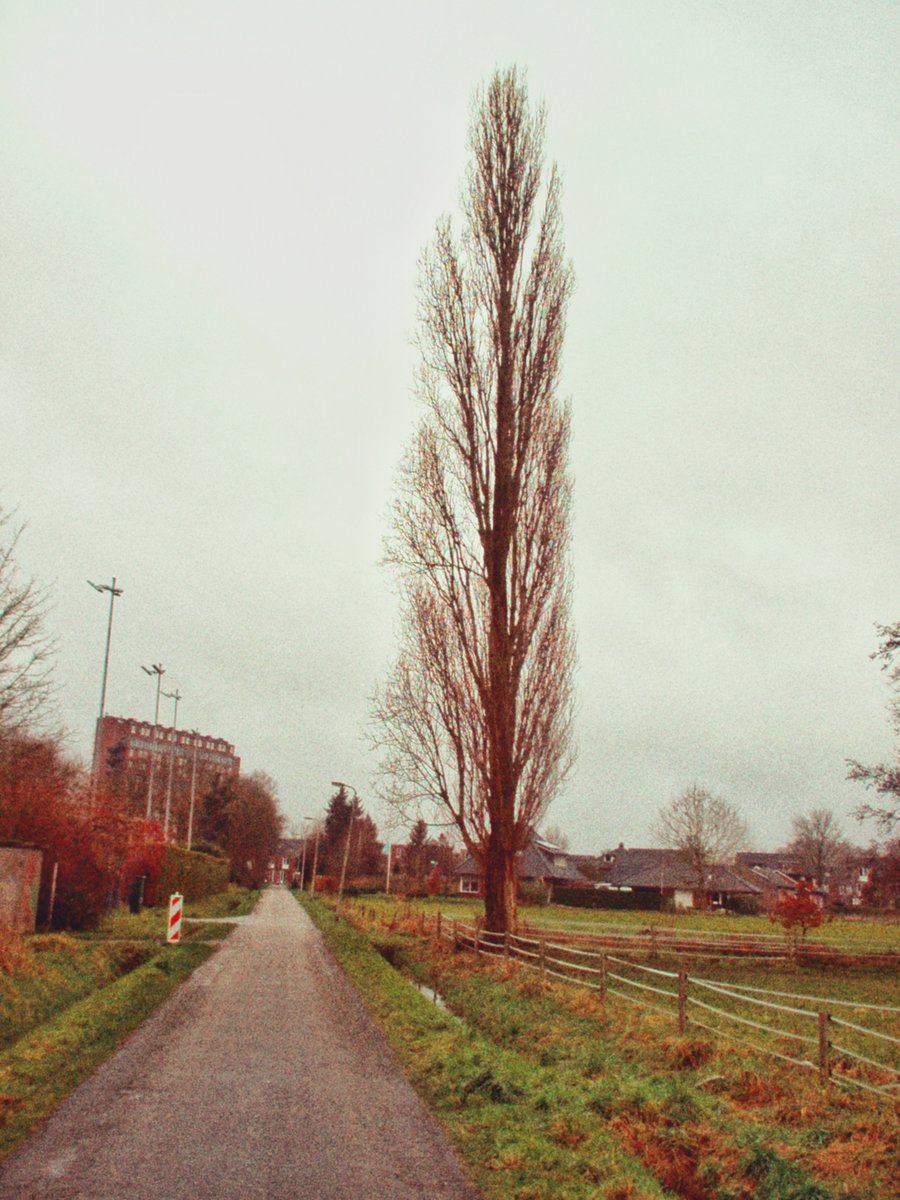 van Alphenstraat – Hengelo, the Netherlands