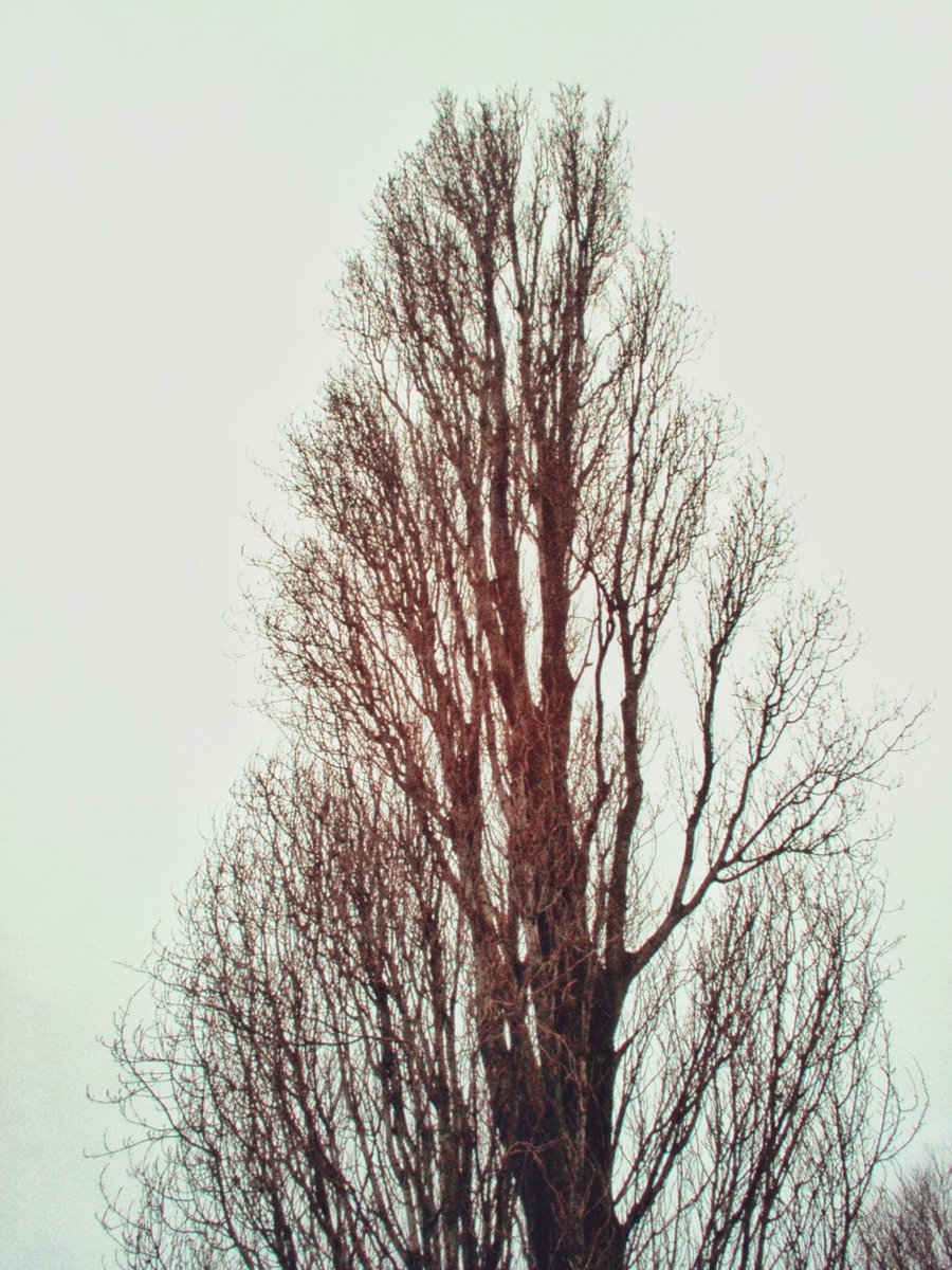 van Alphenstraat – Hengelo, the Netherlands