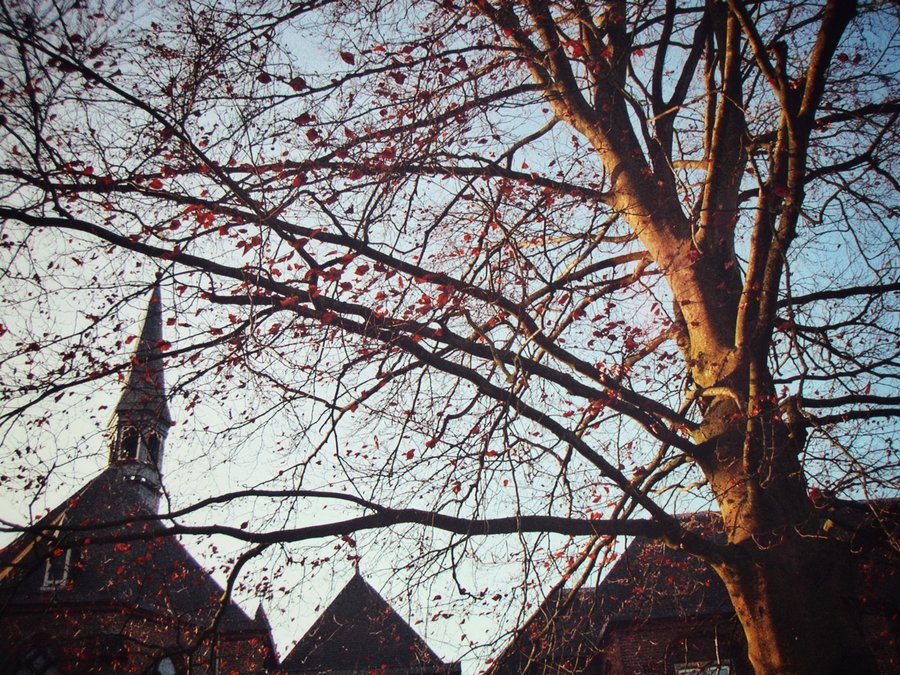Karmelietenklooster – Zenderen, the Netherlands