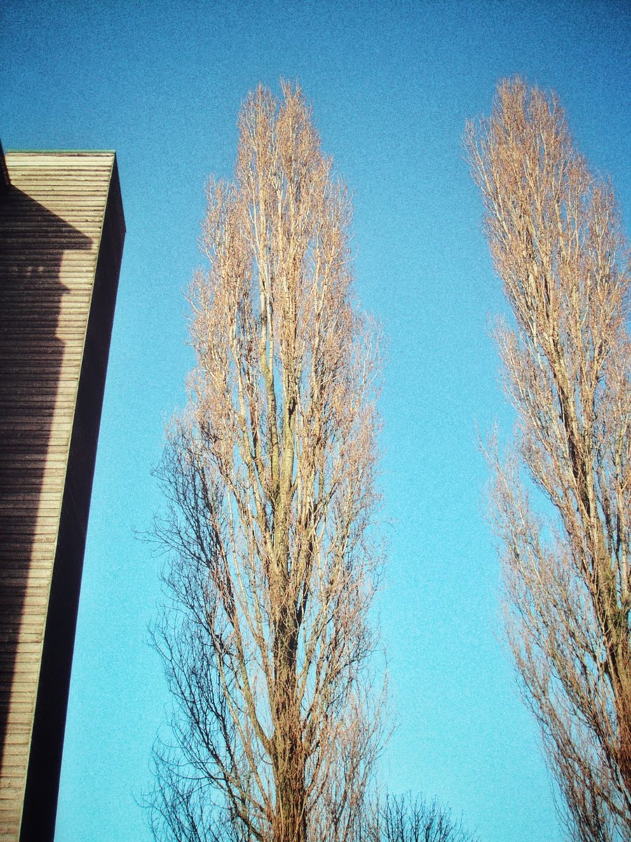 Het Gymnasium – Zenderen, the Netherlands