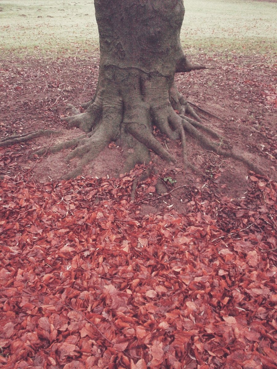 Hasselerbaan – Hengelo, the Netherlands