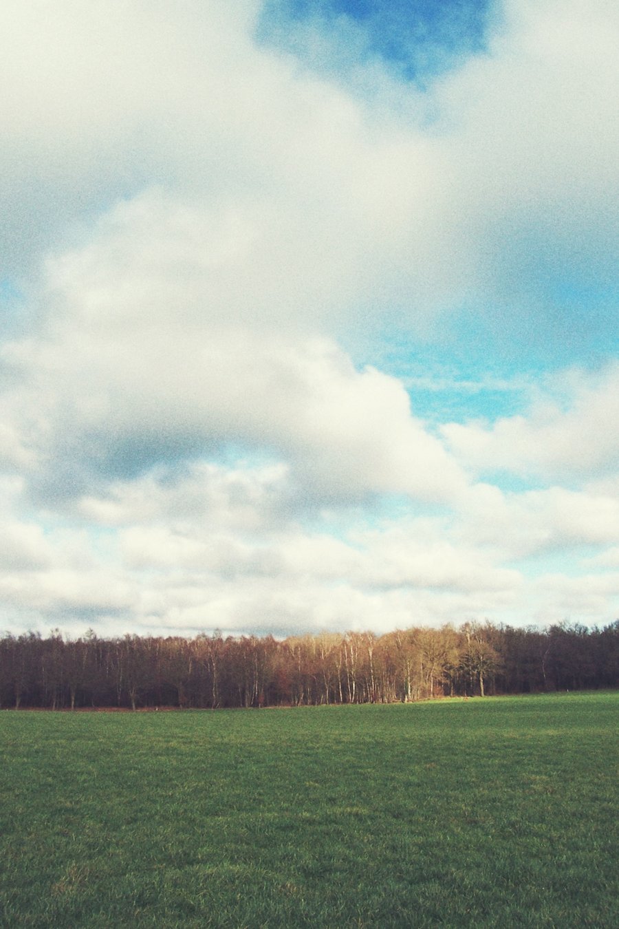Hike around Vasse – the Netherlands