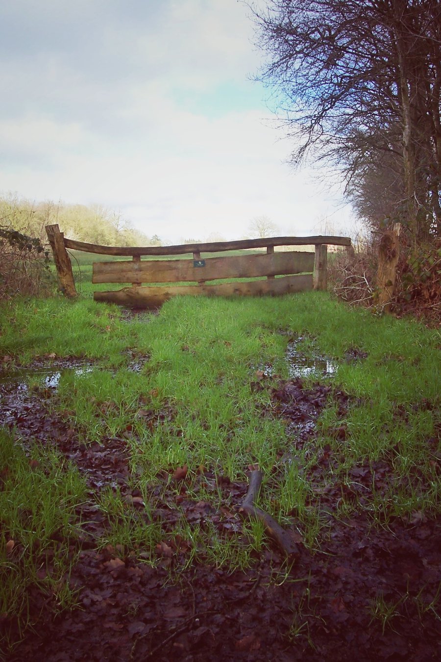 Hike around Vasse – the Netherlands