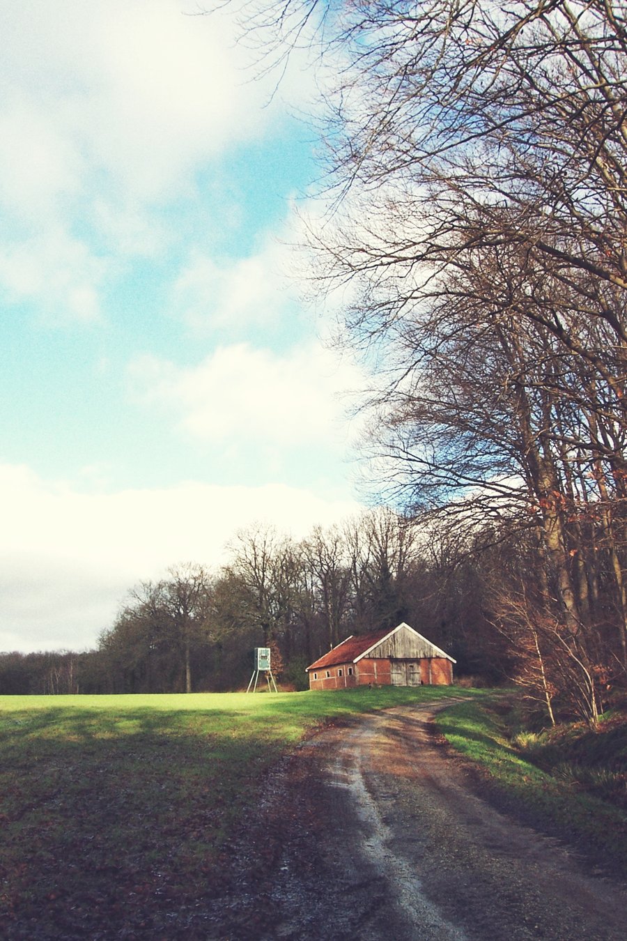 Hike around Vasse – the Netherlands