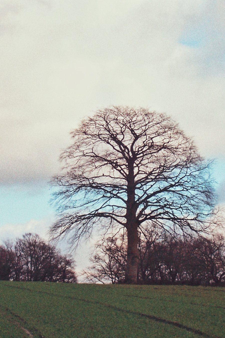 Hike around Vasse – the Netherlands