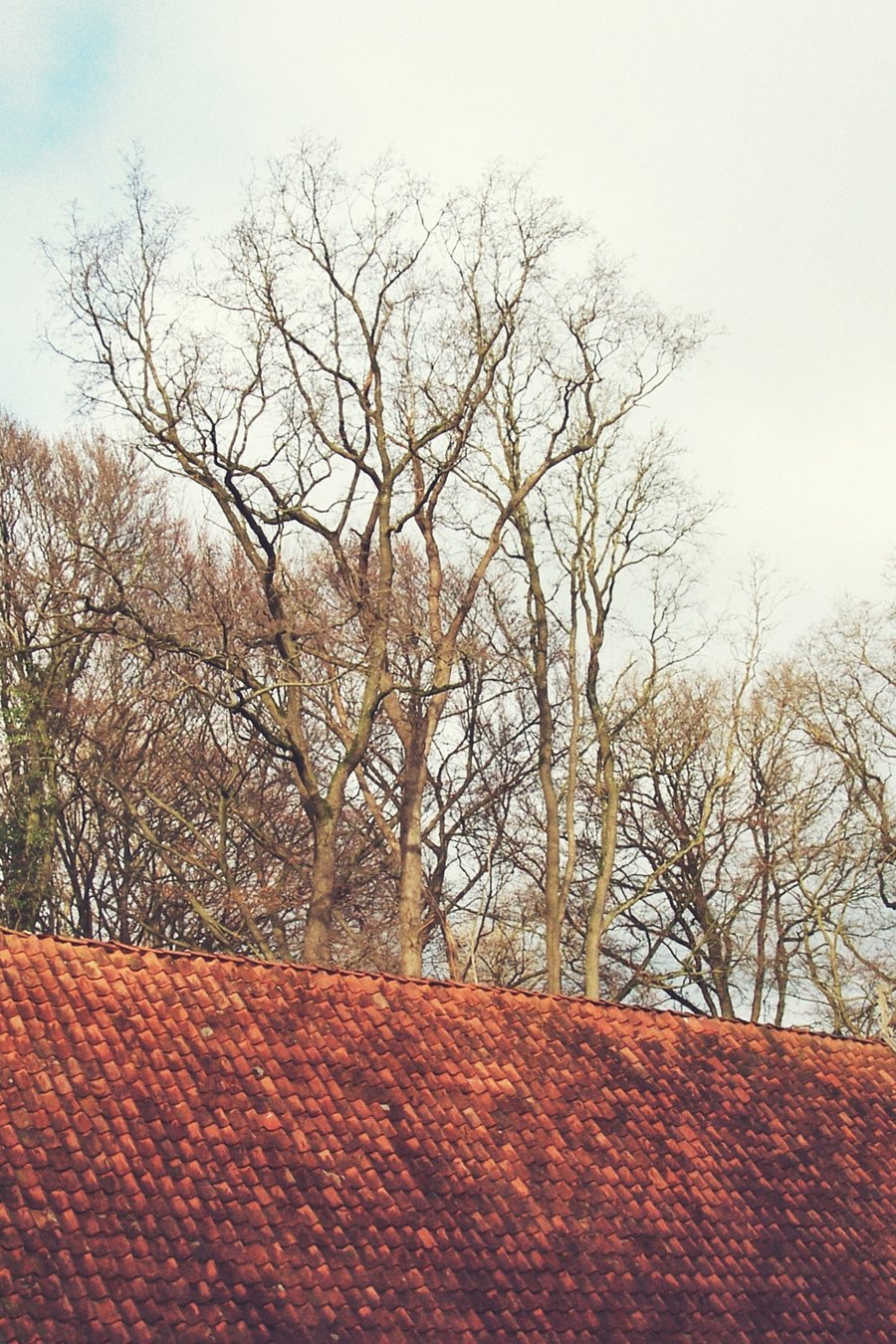 Hike around Vasse – the Netherlands
