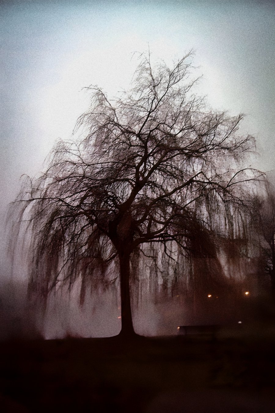 Slangenbeek – Hengelo, the Netherlands