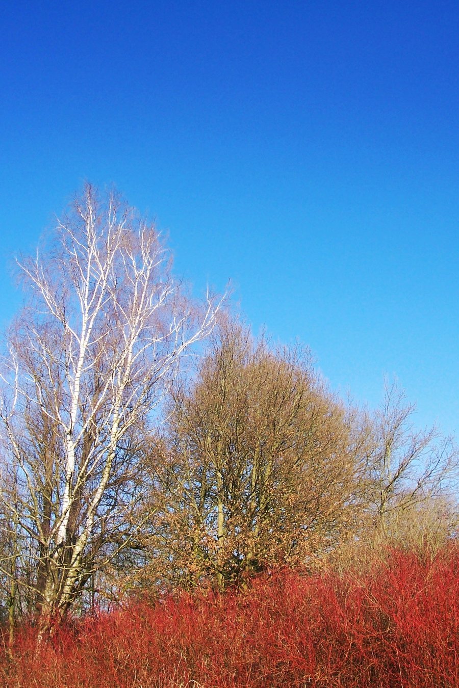 Westermaatsweg – Hengelo, the Netherlands