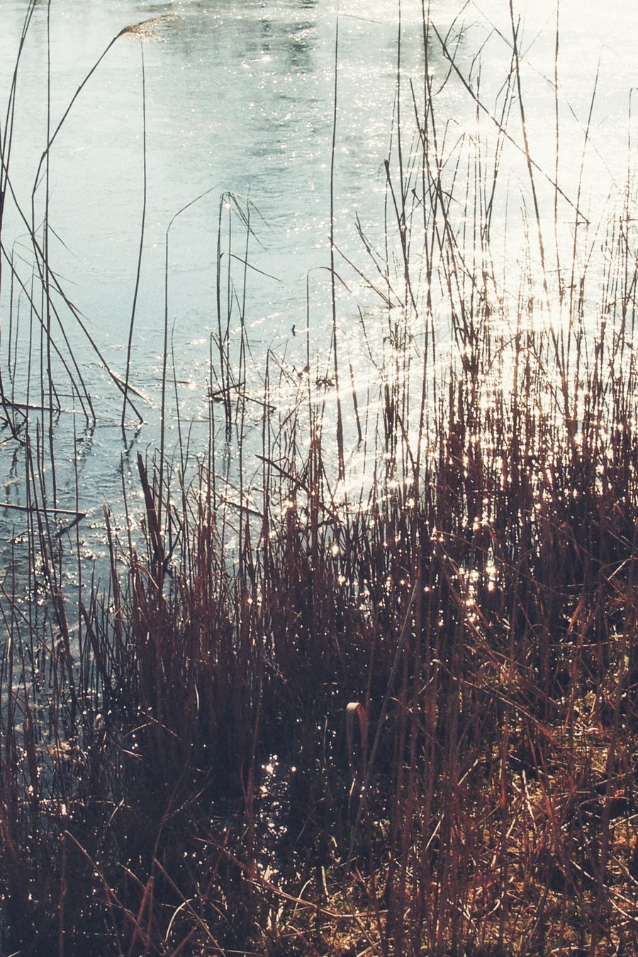 Westermaatsweg – Hengelo, the Netherlands