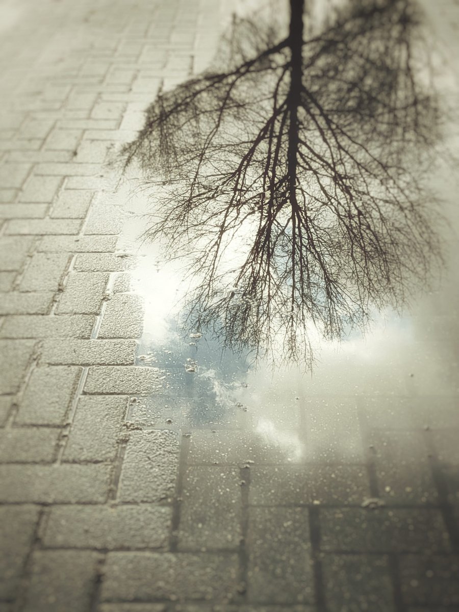 Reflections – Hengelo, the Netherlands