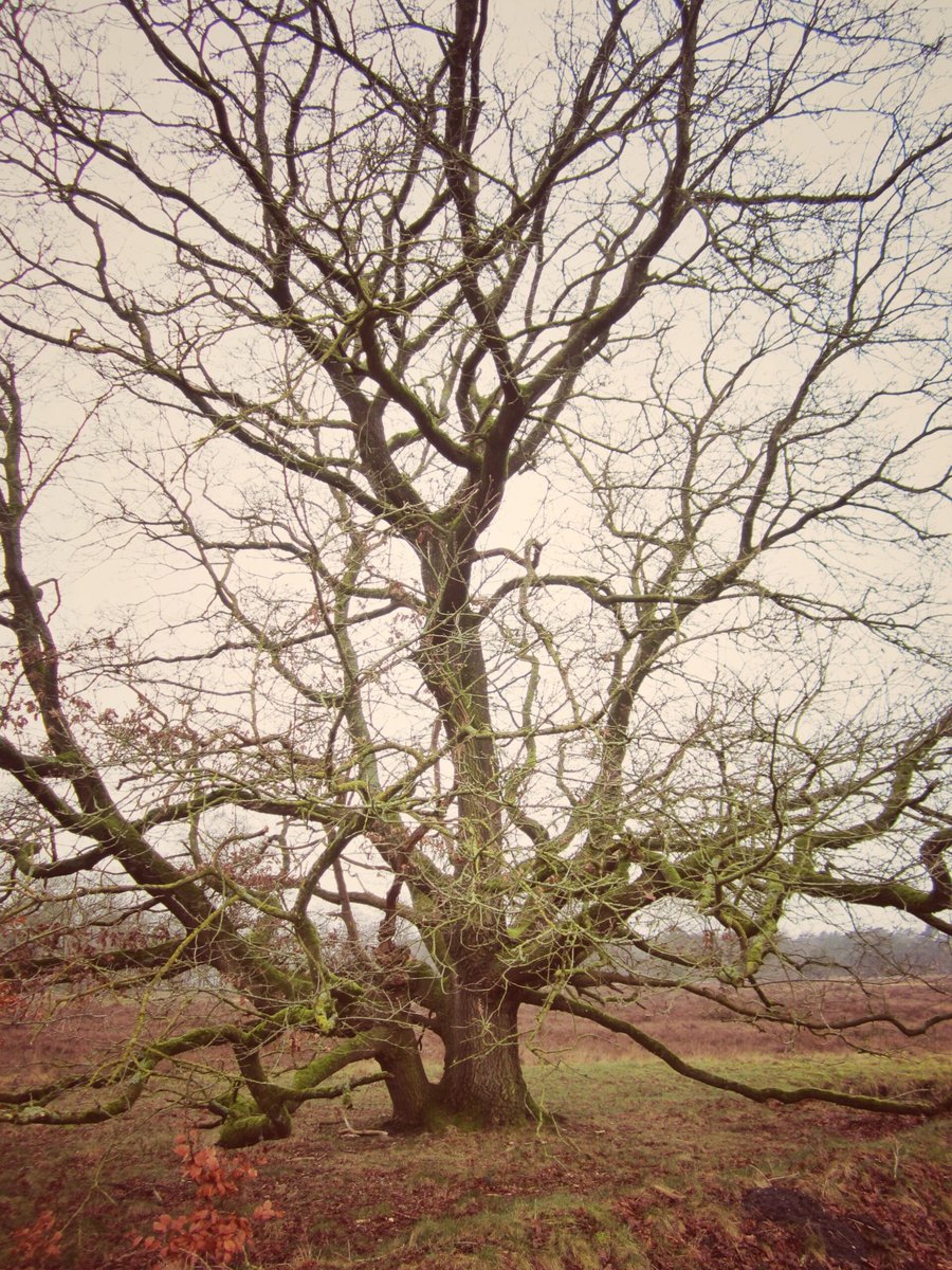 Lemelerberg – Lemele, the Netherlands