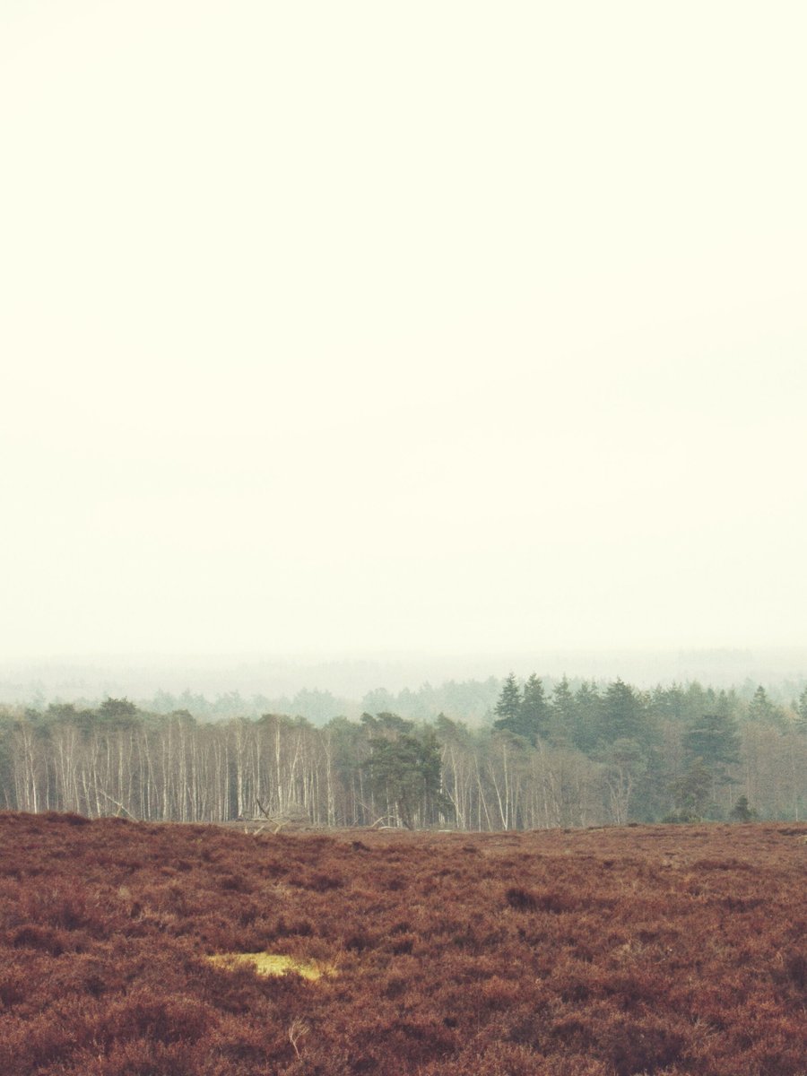 Lemelerberg – Lemele, the Netherlands
