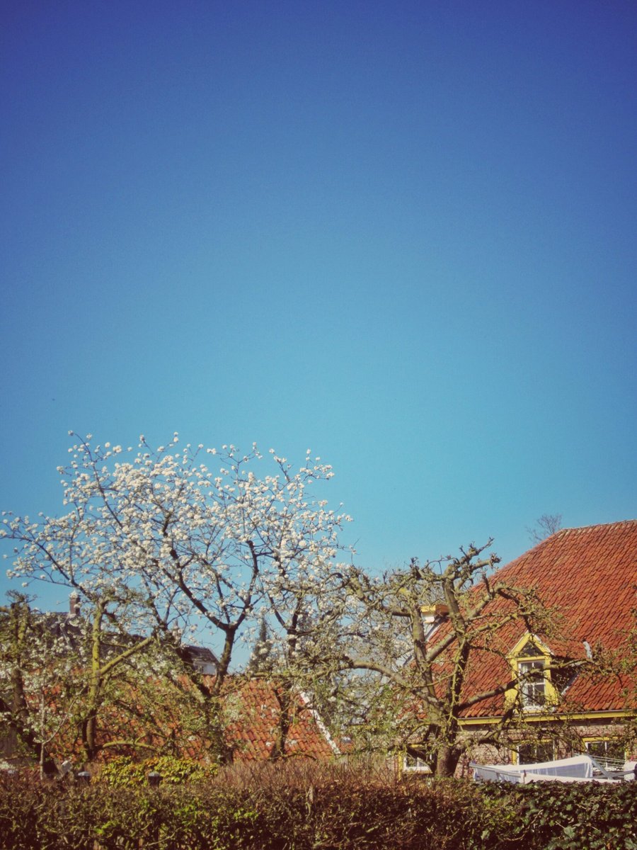 City centre, Borne – the Netherlands