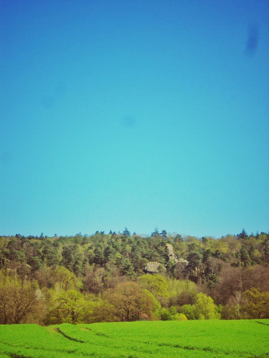 Dörenther Klippen surroundings – Germany