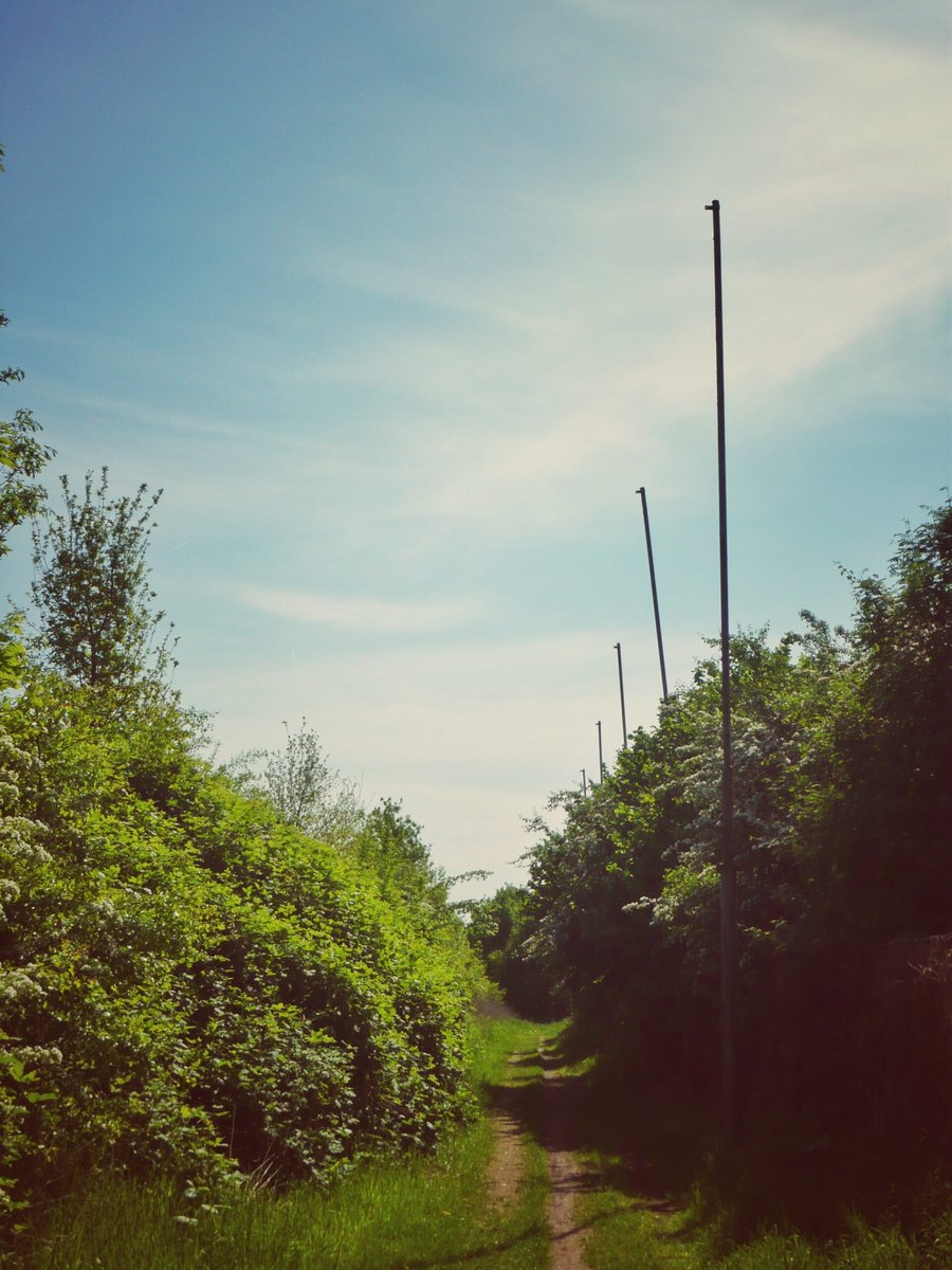 Nearby Verlengde Polluxweg, Hengelo – the Netherlands