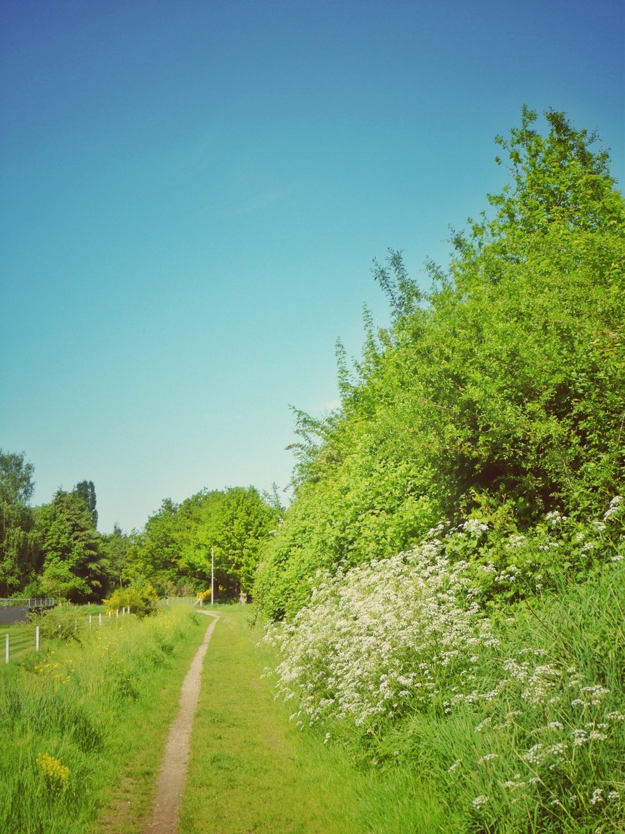 Nearby Verlengde Polluxweg, Hengelo – the Netherlands
