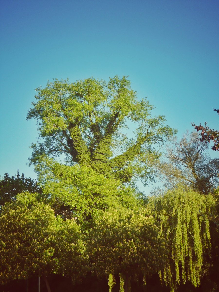 Castorweg, Hengelo – the Netherlands