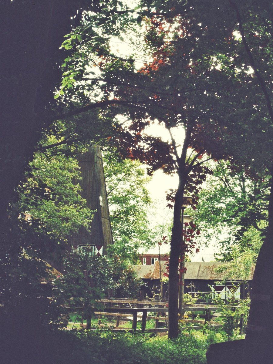 Near a parking at van Alphenstraat – Hengelo, the Netherlands