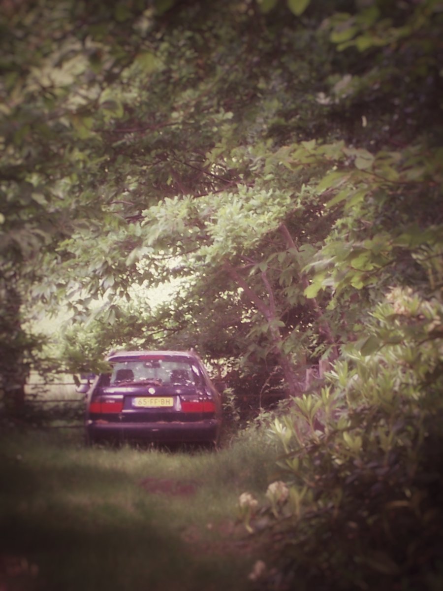 Hidden car at the Verlengde Polluxweg – Hengelo, the Netherlands