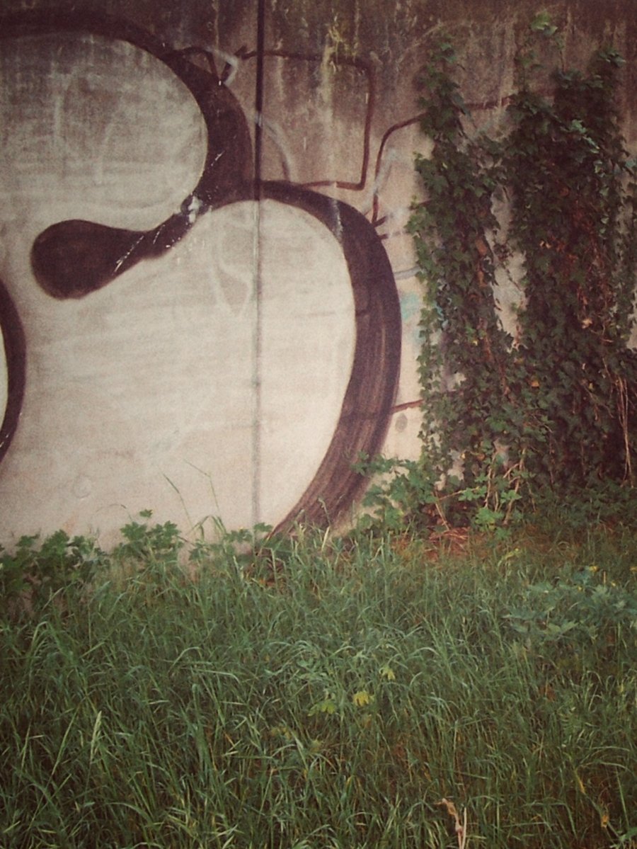 Grafitti Hasseler Baan – Hengelo, the Netherlands