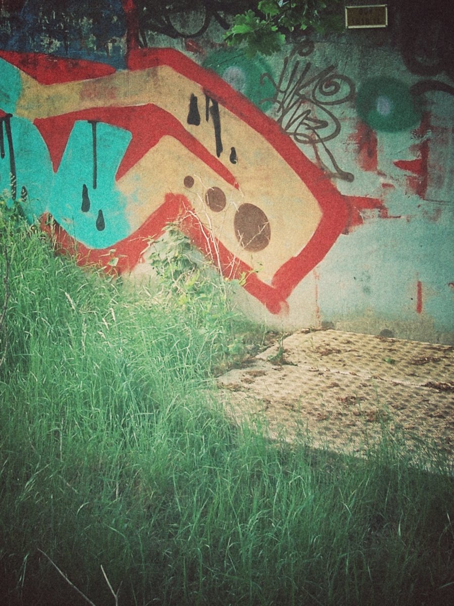 Grafitti Hasseler Baan – Hengelo, the Netherlands
