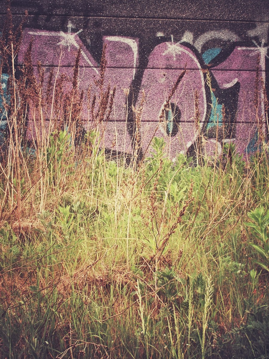 Grafitti Hasseler Baan – Hengelo, the Netherlands